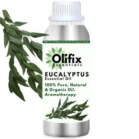 Olifix Eucalyptus Essential Oil