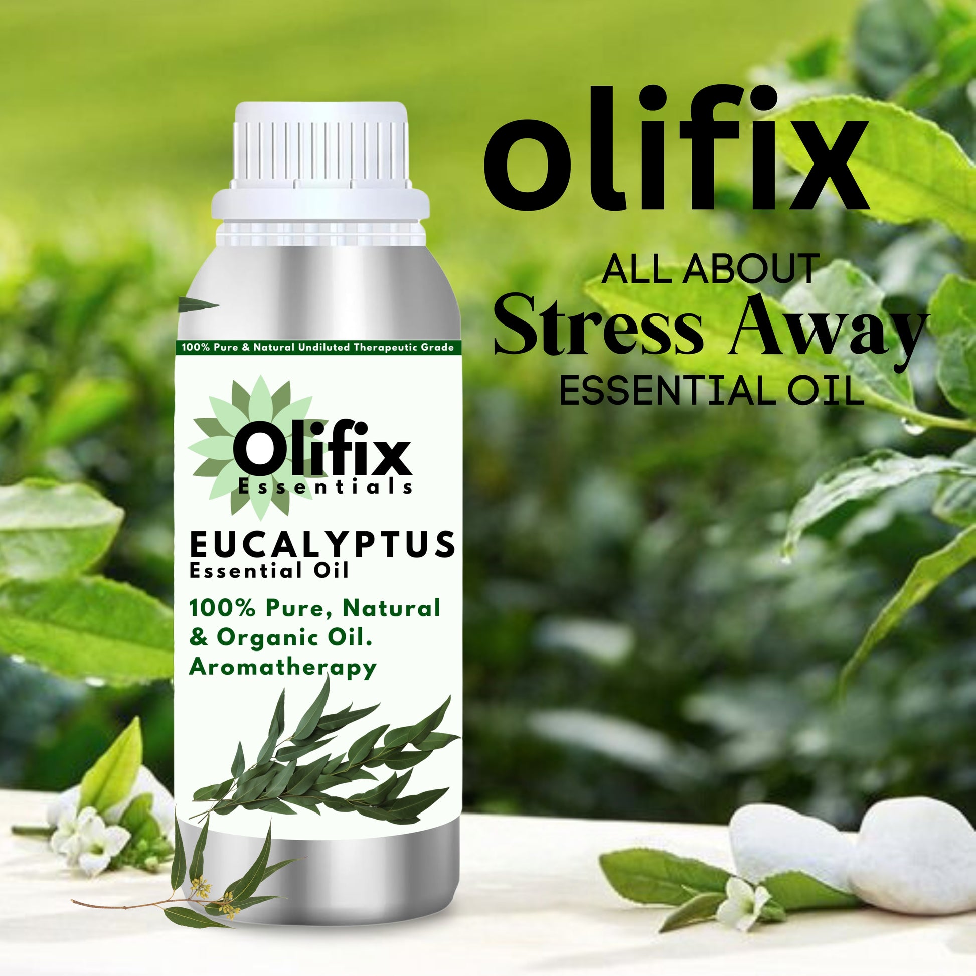 Olifix Eucalyptus Essential Oil