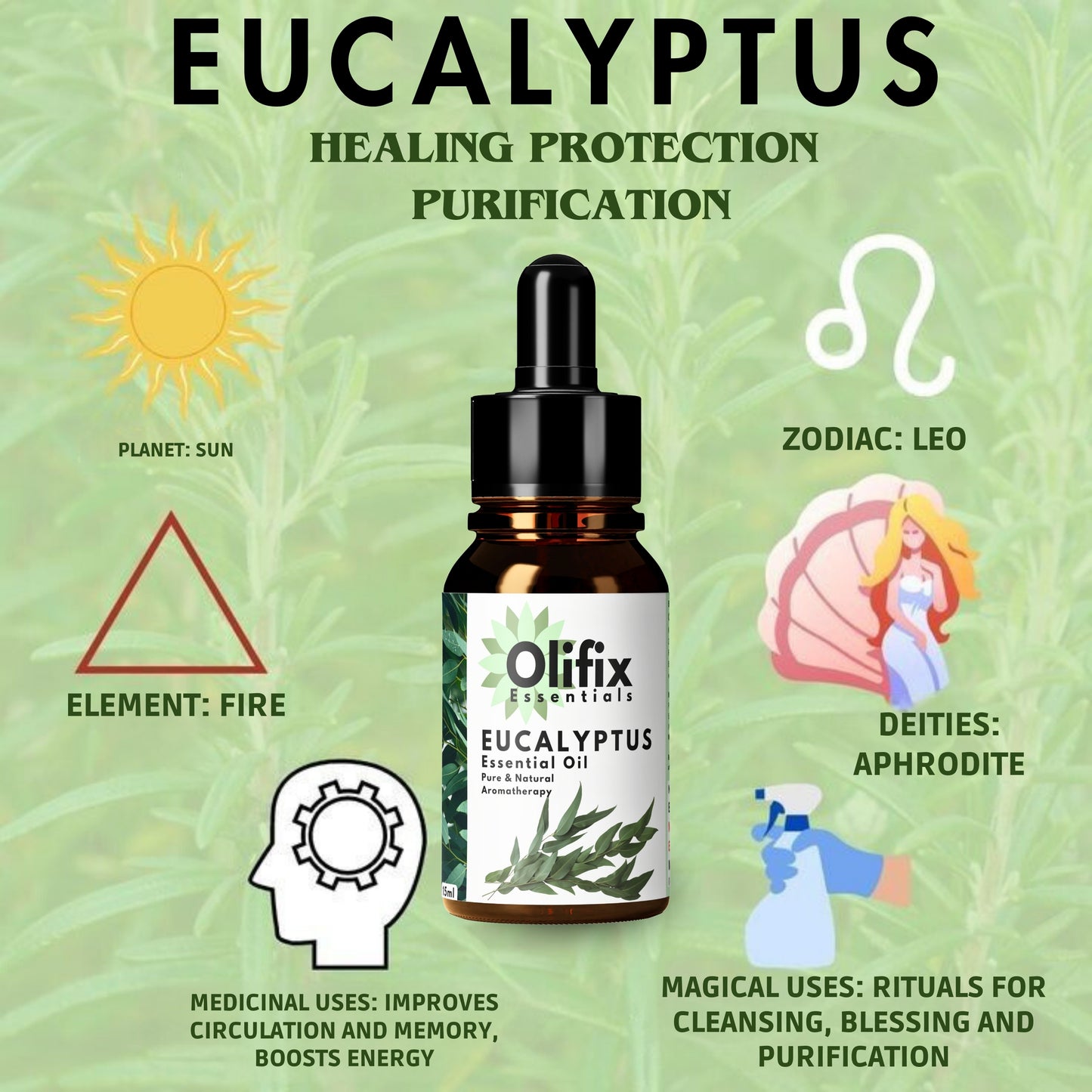 Olifix Eucalyptus Essential Oil